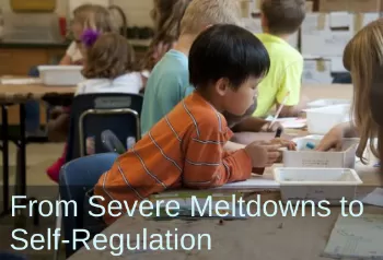 Boy calmly doing schoolwork. Text: From severe meltdowns to self-regulation