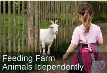 small girl approaching a goat. Text: Feeding Farm Animals Independently.