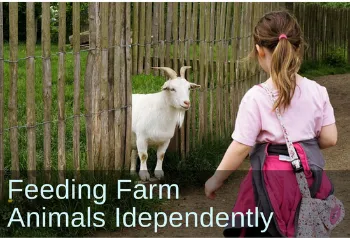 small girl approaching a goat. Text: Feeding Farm Animals Independently.