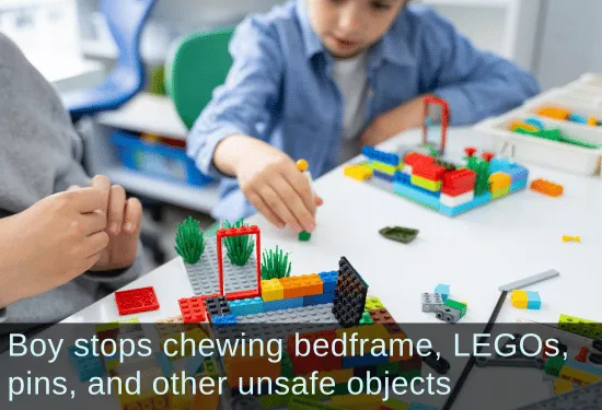 Boy playing with legos. Text: Boy stops chewing bedframe, LEGOs, pinds, and other unsafe objects.