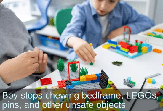Boy playing with legos. Text: Boy stops chewing bedframe, LEGOs, pinds, and other unsafe objects.