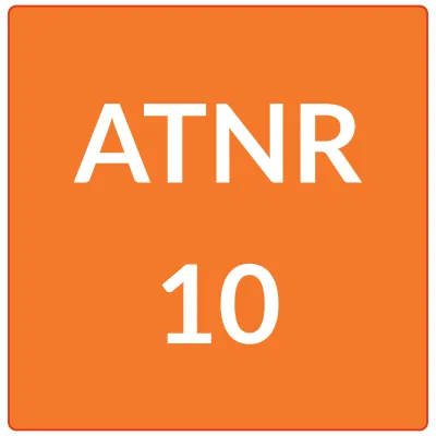 Orange graphic with white text: ATNR 10