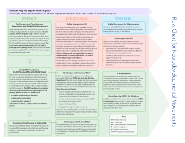 Thumbnail of the primitive reflex integration flow chart that comes with the course.