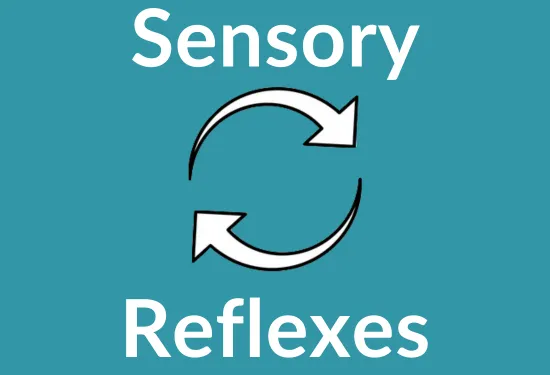 List of conditions that can be addressed using primitive reflex integration. Text: Anxiety, Developmental Delay, Motions sickness, Handwriting, Learnin Challenges, ADHD, Hyperactivity, Depression, Bedwetting, Baldder &amp; Bowel, etc.