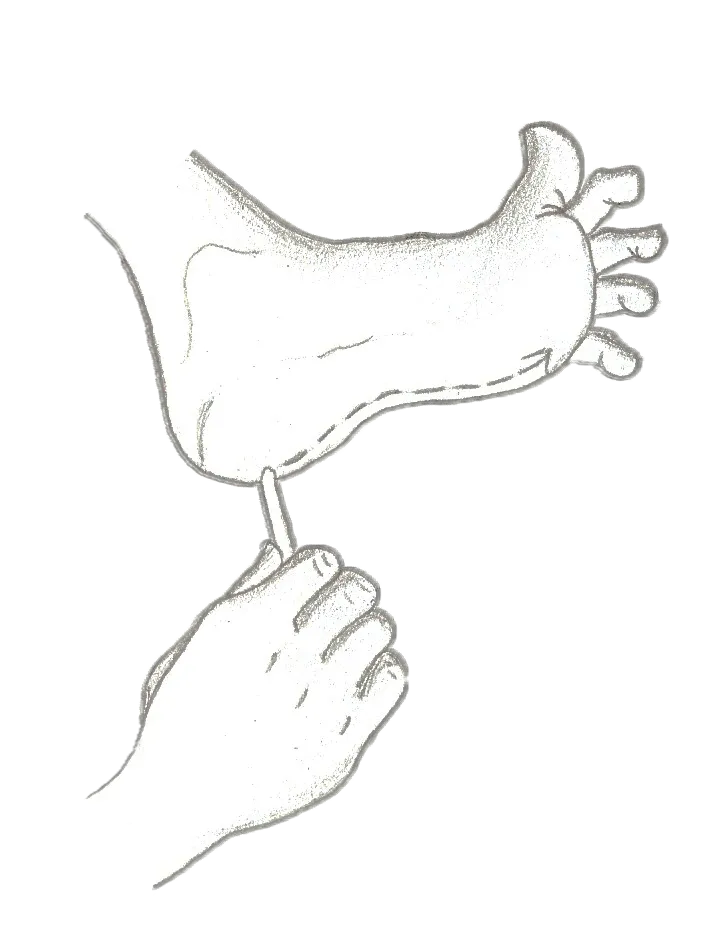 Drawing of a hand holding a pencil and applying stimulation to the bottom outside edge of someone's foot.
