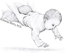 Illustration of adult hands holding a baby by the waist face down above a surface. The baby's arms are spread and reaching down.