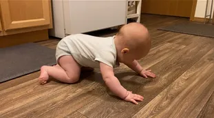 Infant in quadruped position, on all fours getting ready to crawl