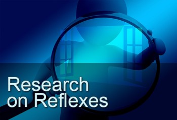 Research on Reflexes